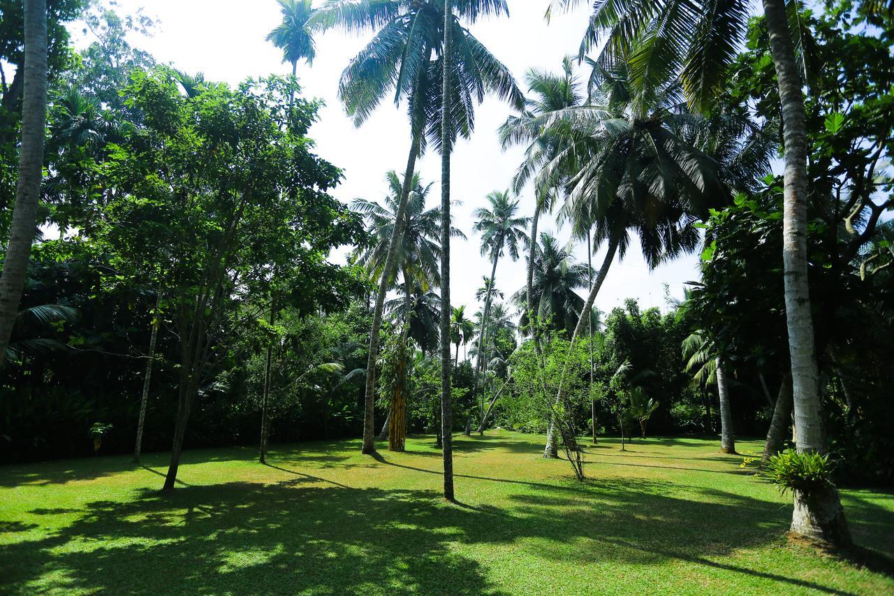 Old Parkland Hostel Galle Exterior foto